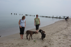 Foto 5: Am 9. Mai 2013 gingen zwei  Menschen mit zwei Hunde, am Graal Müritzer Strand spazieren.